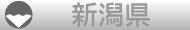 新潟県