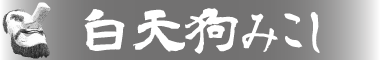 白天狗みこし　女性が担ぐ祭りの華